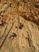 SNV80490.JPG